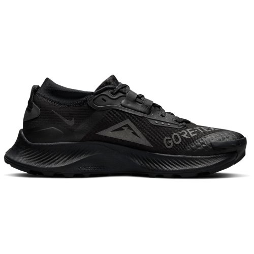 Кроссовки NIKE W NIKE PEGASUS TRAIL 3 GTX