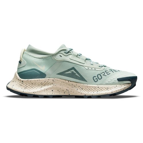 Кроссовки NIKE W NIKE PEGASUS TRAIL 3 GTX