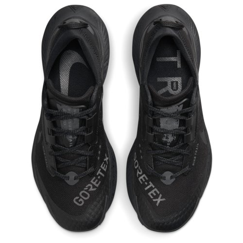 Кроссовки NIKE W NIKE PEGASUS TRAIL 3 GTX