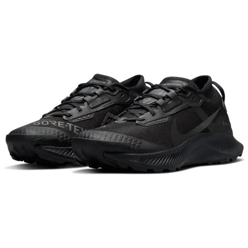Кроссовки NIKE W NIKE PEGASUS TRAIL 3 GTX