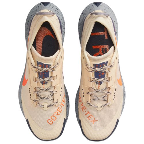 Кросівки NIKE NIKE PEGASUS TRAIL 3 GTX