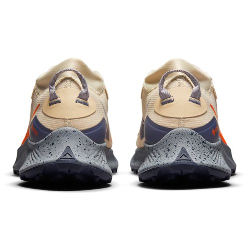 Кросівки NIKE NIKE PEGASUS TRAIL 3 GTX
