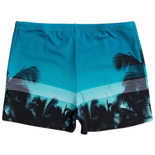 Плавки Quiksilver EVYDAYPRTSWIM M