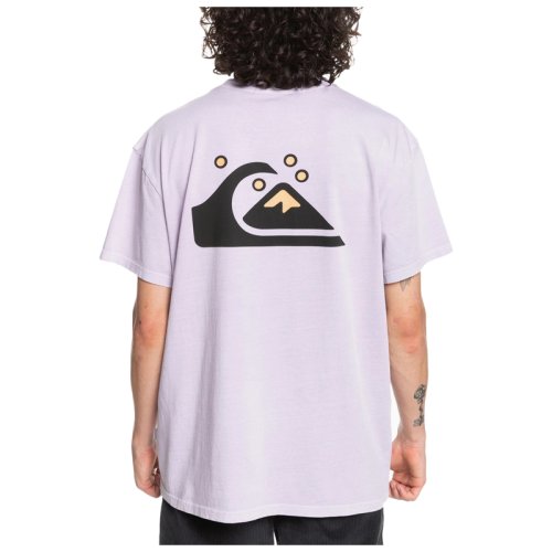 Футболка Quiksilver OGCLASSICSS M TEES