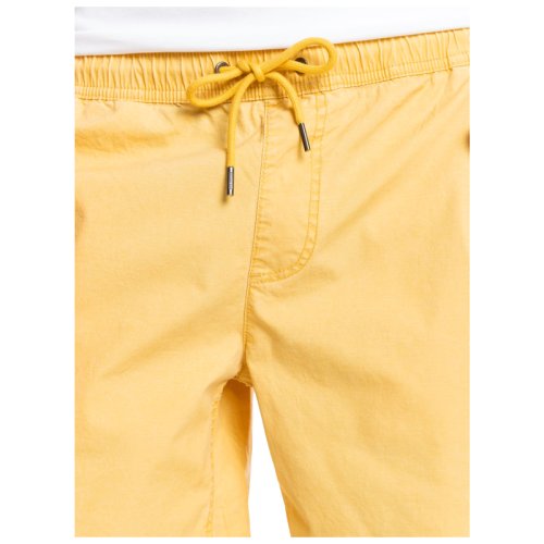 Шорты Quiksilver TAXERWS M WKST