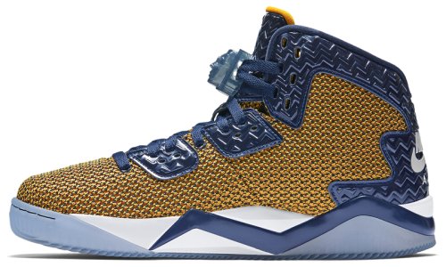 Кроссовки для баскетбола NIKE AIR JORDAN SPIKE FORTY