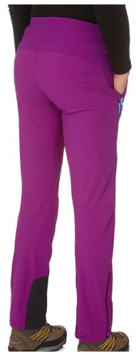 Брюки The North Face W ASTEROID PANT