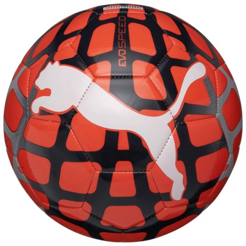 Мяч футбольный Puma evoSPEED 5.4 SpeedFrame